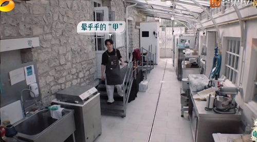 《中餐廳8》爭議升級 林述巍被鎖冷庫，導演做法引眾怒