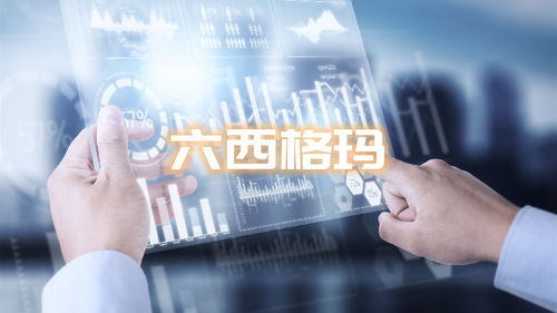 六西格瑪咨詢項(xiàng)目成本解析及其在網(wǎng)絡(luò)文化經(jīng)營中的應(yīng)用價值